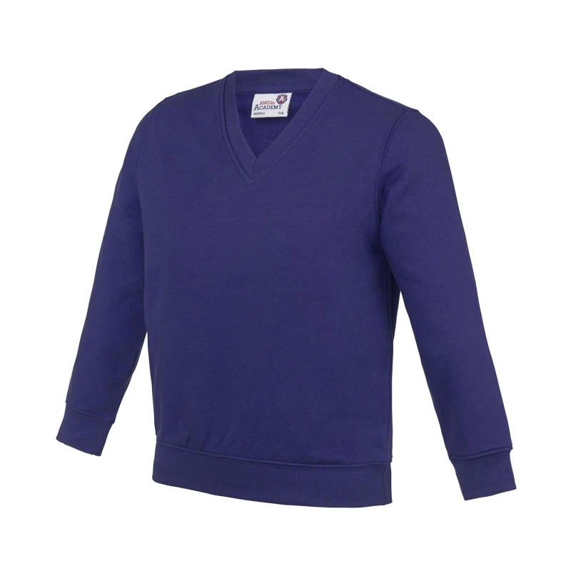 Image of Awdis Academy boys's Children's sweater in Purple