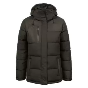 Image of Clique Womens/Ladies Colorado Padded Jacket (S) (Dark Grey)