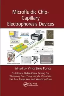 Image of Microfluidic Chip-Capillary Electrophoresis Devices
