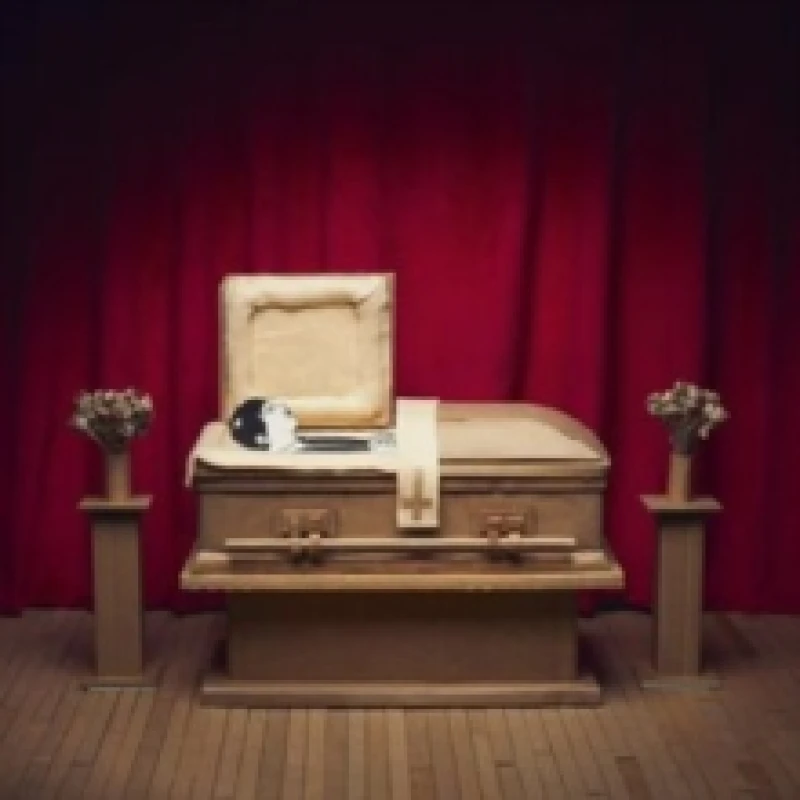 Image of No thanks Vinyl