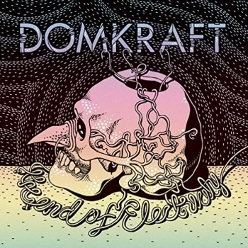 Image of Domkraft - The End of Electricity CD