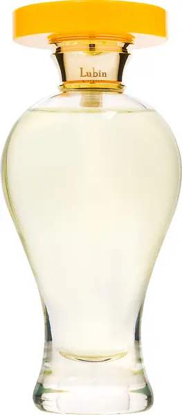 Image of Lubin Epidor Eau de Parfum Unisex 100ml