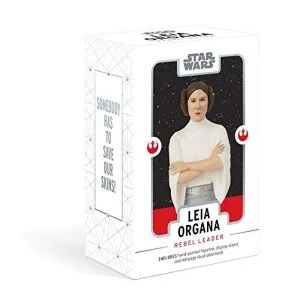 Image of Star Wars (R): Leia Organa-Rebel Leader Doll 2018