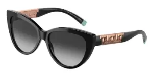 Image of Tiffany & Co. Sunglasses TF4196 80013C