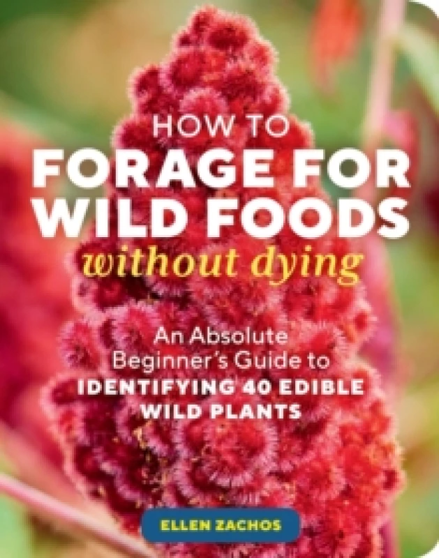 Image of How to Forage for Wild Foods without Dying : An Absolute Beginner's Guide to Identifying 40 Edible Wild Plants Paperback / softback