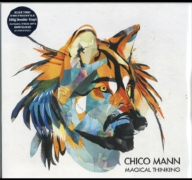 Image of Magical Thinking Vinyl