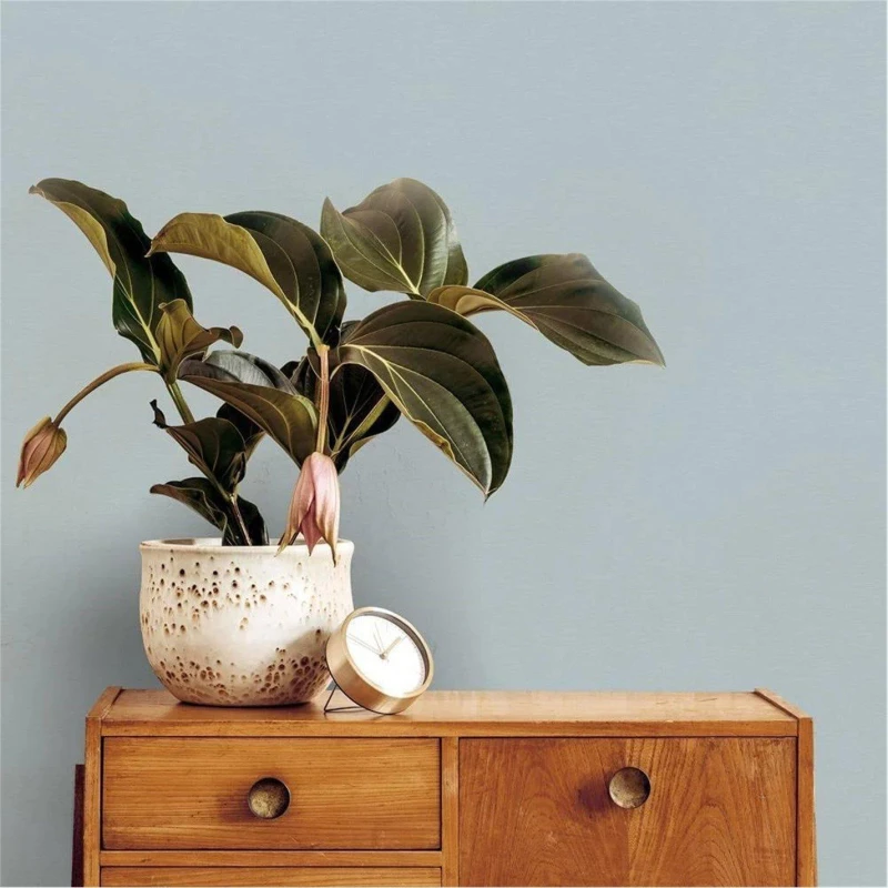 Image of Superfresco Easy Superfresco Easy Amour Sage Texture Wallpaper in Blue Size: 10000mm_x_520mm Blue 10000mm_x_520mm Unisex 5011583652543