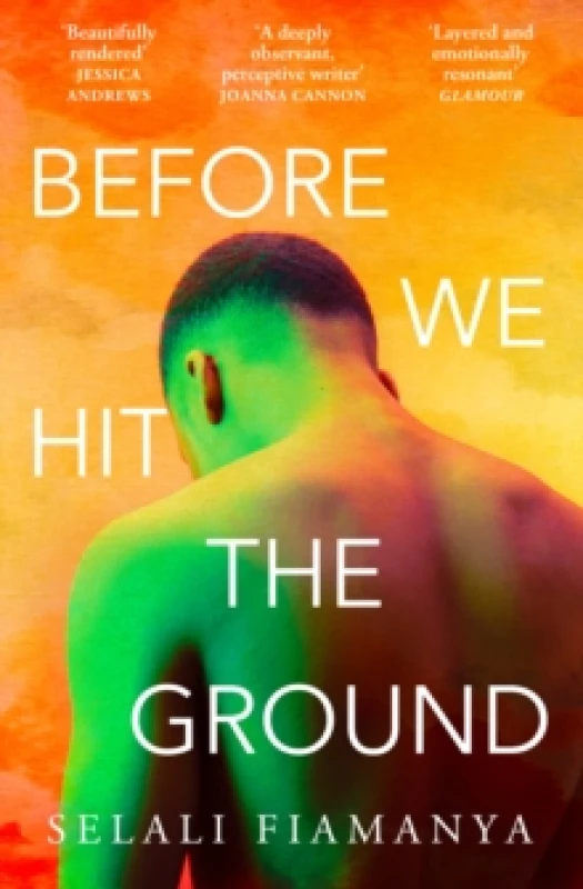 Image of Before We Hit the Ground Paperback / softback