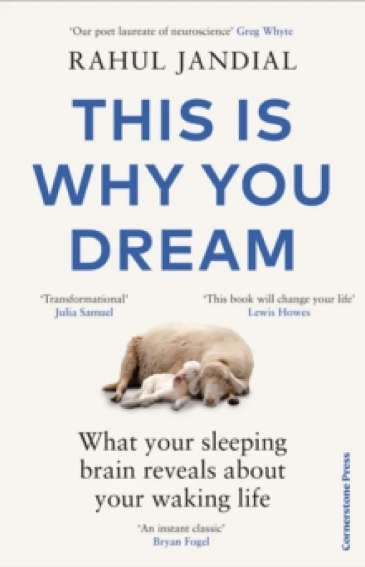 Image of This Is Why You Dream : What your sleeping brain reveals about your waking life Hardback