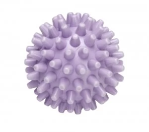 Image of Wpro WBA100 Tumble Dryer Softening Ball