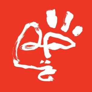 Image of The Witch by Pumarosa CD Album