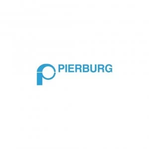 Image of Pierburg 7.28248.17.0 EGR Valve