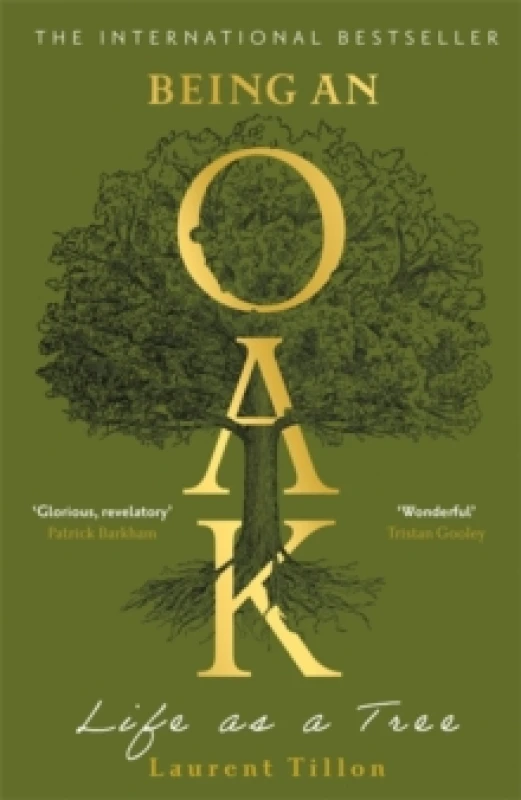 Image of Being an Oak : Life as a tree Paperback / softback