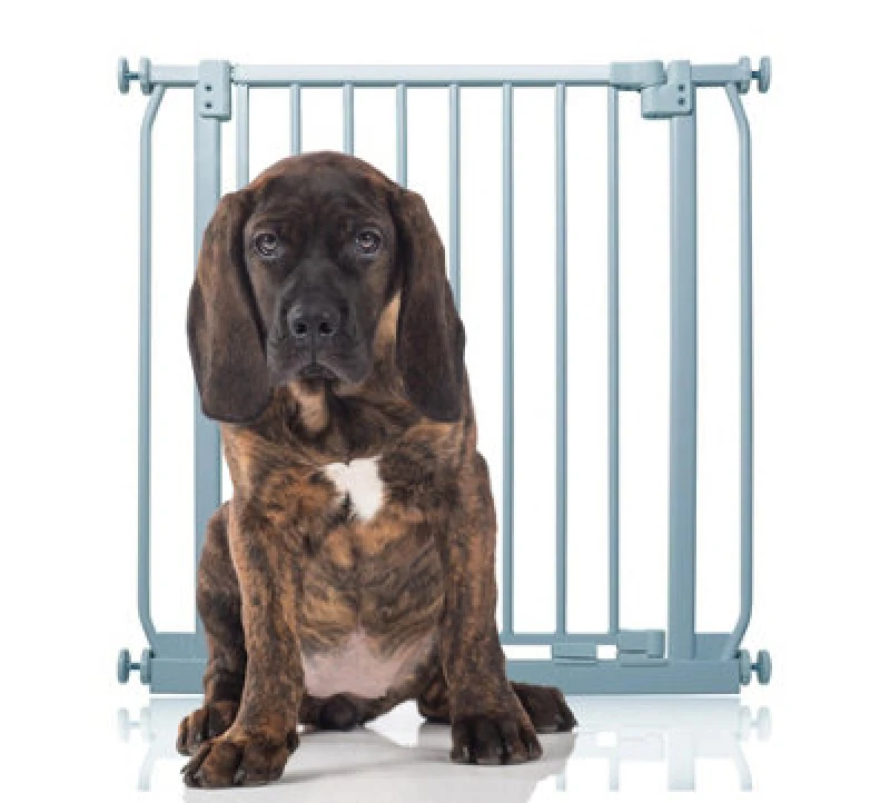 Image of Bettacare Elite Pressure Dog Gate, 71Cm - 80Cm, Matt Grey, Pressure Fit Pet Gate For Dog And Puppy