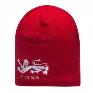 Image of Canterbury British and Irish Lions Supporters Beanie Hat - Red/White