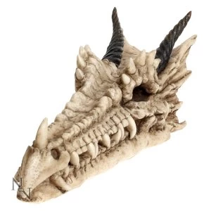 Image of Draco Skull Incense Holder