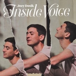 Image of Joey Dosik - Inside Voice Vinyl