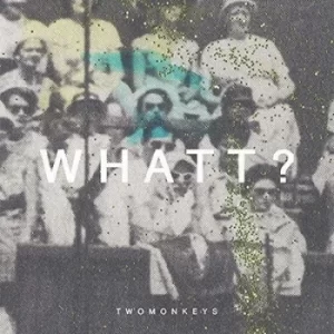 Image of What? by TwoMonkeys Vinyl Album