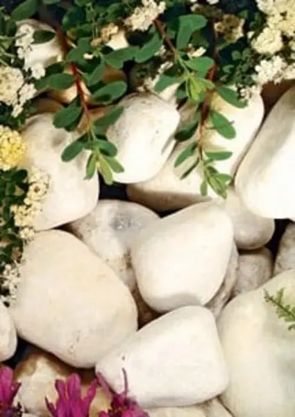 Image of Kelkay Pearl White Cobbles - Bulk Bag