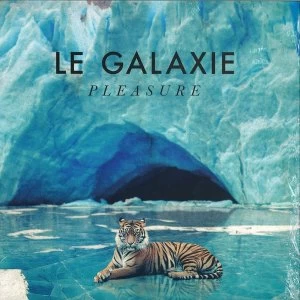 Image of Le Galaxie - Pleasure Vinyl