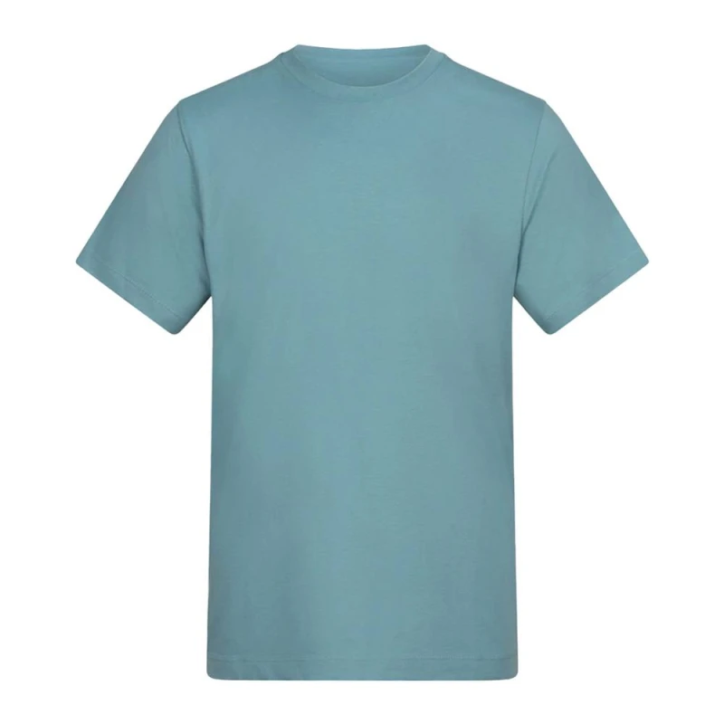 Image of AWDis Mens Cotton T-Shirt in Aqua Size: Small Aqua Male S
