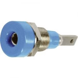 Image of Jack socket Socket vertical vertical Pin diameter 2mm Blue St