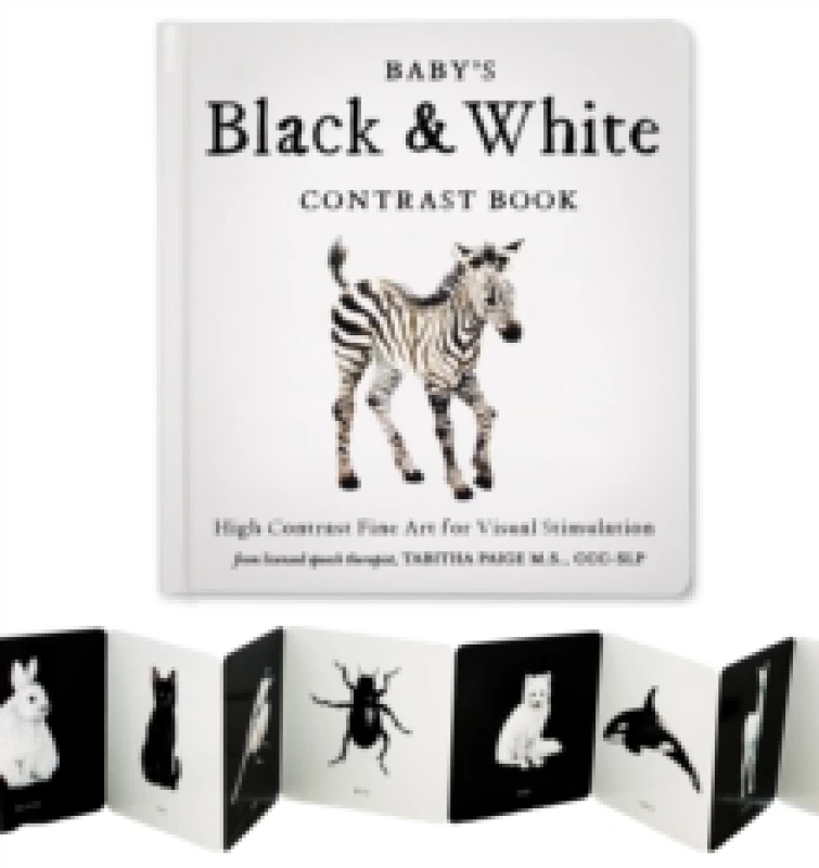 Image of Baby's Black and White Contrast Book : High-Contrast Art for Visual Stimulation at Tummy Time Board book