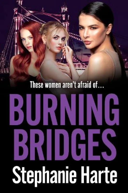 Image of Burning Bridges : An absolutely unputdownable and gripping crime thriller! Paperback / softback