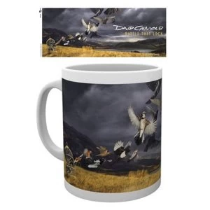 Image of David Gilmour - LP Cover Mug