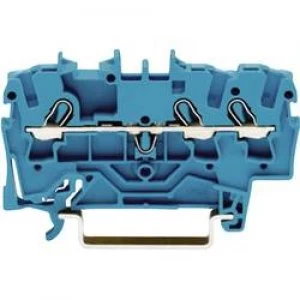 Image of Continuity 5.20 mm Pull spring Configuration N Blue