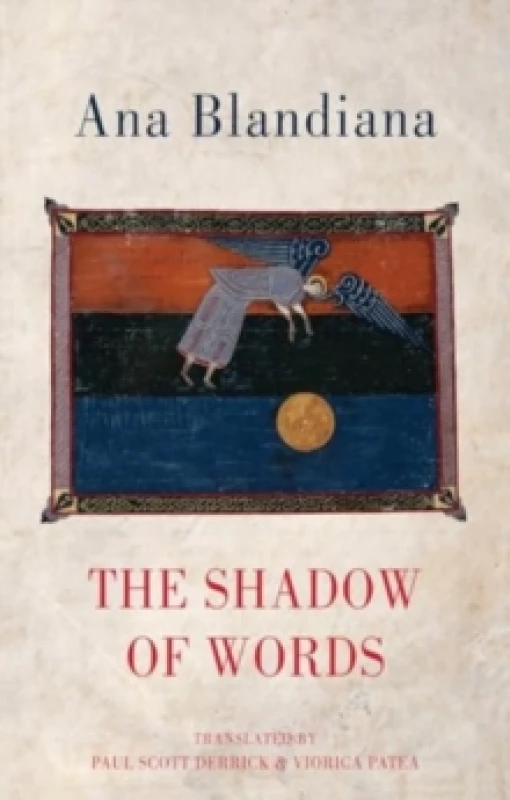 Image of The Shadow of Words Paperback / softback