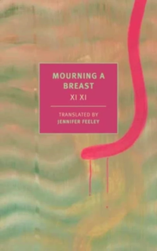 Image of Mourning a Breast Paperback / softback