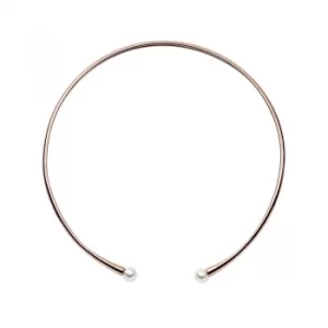 Image of Ladies Skagen Rose Gold Plated Agnethe Necklet