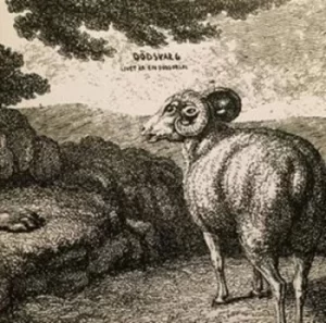 Image of Livet Är En Dodsorsak by Dodsvarg Vinyl Album