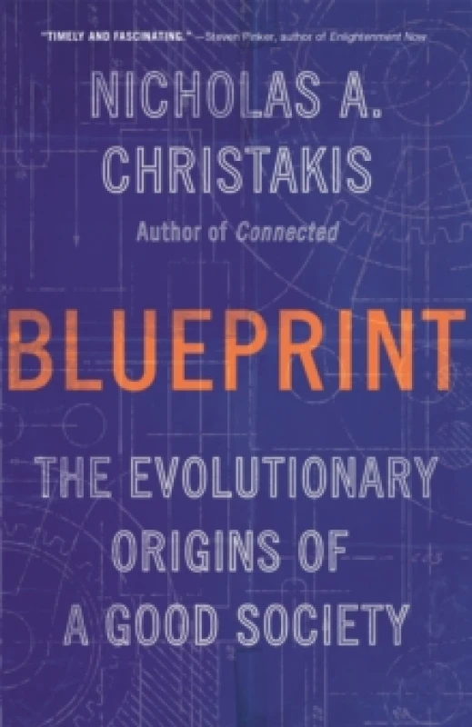 Image of Blueprint. Paperback. By Nicholas A Christakis Books