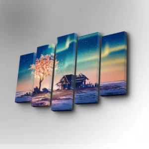 Image of 5PUC-076 Multicolor Decorative Canvas Painting (5 Pieces)