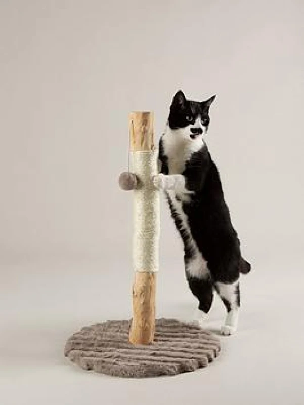 Image of Scruffs Rockies Cat Scratching Tree TRE/RCD/663079