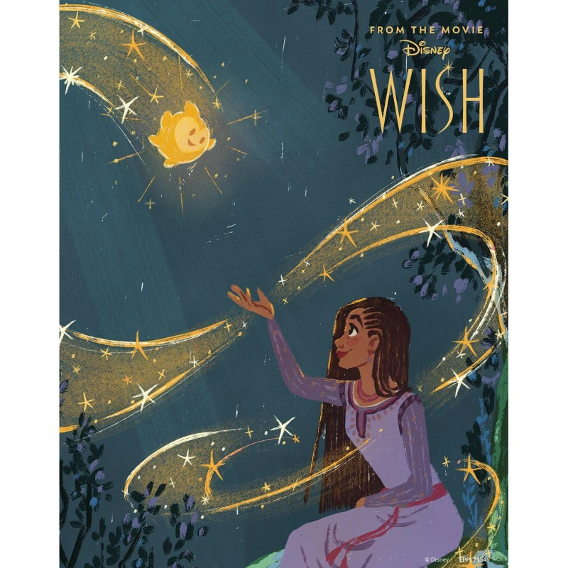 Image of Disney Wish Poster Wall Art Black unisex One Size