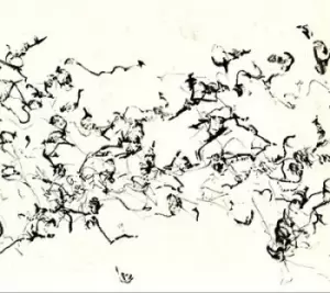 Image of There Is No More Firmament by John Zorn CD Album