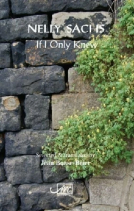Image of If I Only Knew Pamphlet