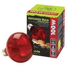 Image of Komodo 100W Infrared Heat Source 24hr Reptile Bulb