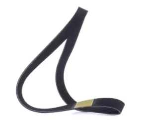 Image of RIDEX V-ribbed belt OPEL,RENAULT,TOYOTA 305P0489 11720JD00B,11720JD00C,4405275 9121108,11720JD00B,8200200666,9091602510,9121108