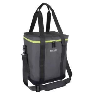 Image of Regatta Glacio 20L Cooler Bag (One Size) (Lead Grey)