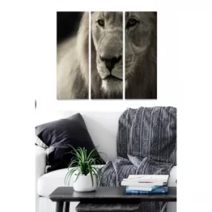 Image of MDF588144 Multicolor Decorative MDF Painting (3 Pieces)