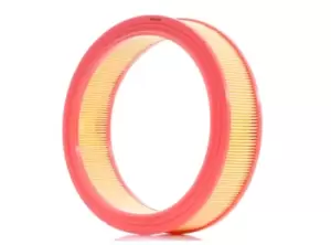 Image of RIDEX Air filter FIAT,LANCIA 8A0127 46536222,6001073233,71754083 Engine air filter,Engine filter 71771777,735276553