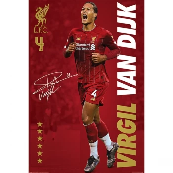 Image of Liverpool FC - Virgil Van Dijk 61 x 91.5cm Maxi Poster