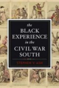 Image of The Black Experience in the Civil War South by Stephen V. Ash Paperback