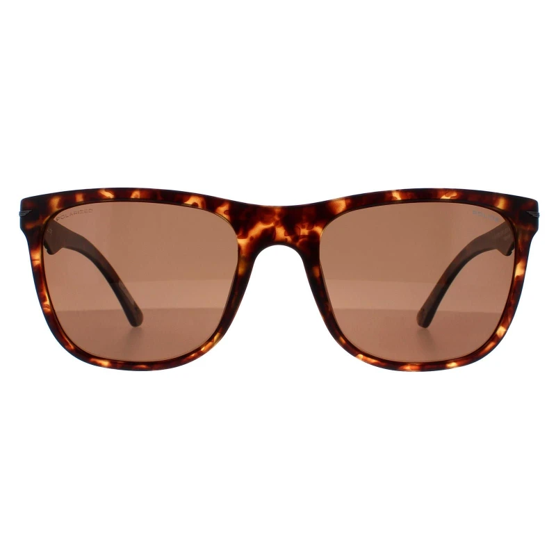 Image of Police Rectangle Matte Dark Havana Brown SPL357 Blackbird Light 2 Sunglasses Brown