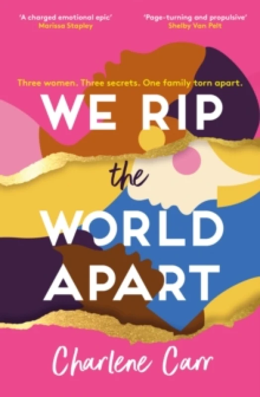 Image of We Rip the World Apart : A sweeping story about motherhood, race and secrets Paperback / softback