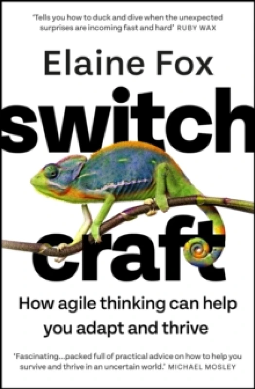 Image of Switchcraft : Easy Techniques for Boosting Your Resilience and Mental Agility. 'Fascinating' - MICHAEL MOSLEY Paperback / softback
